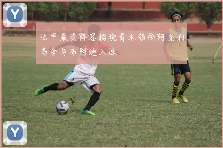 法甲最贵阵容揭晓青木领衔阿克利乌舍与布阿迪入选